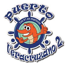 cropped puertoveracruzano 1 removebg preview